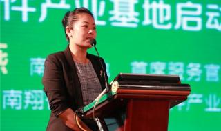 上海市嘉定区南翔镇